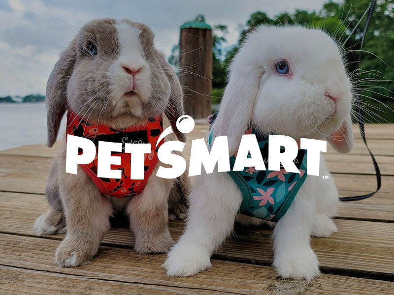 PetSmart is a specialty pet retailer of services and solutions for the lifetime needs of pets. Located at Plaza El Segundo